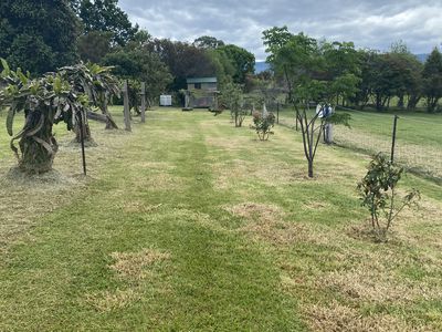 6 Little Forest Road, Little Forest