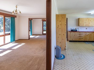 219 Beech Road, Elands