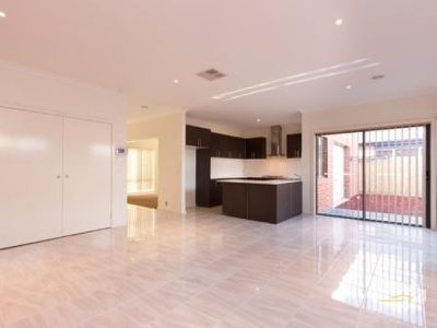46 Hal Porter Terrace, Lynbrook