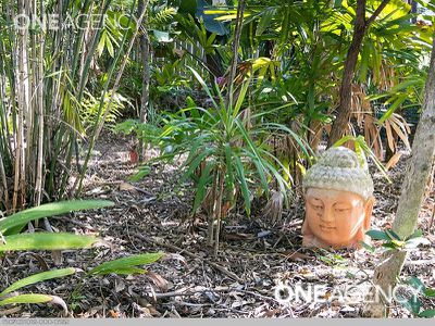 4 Chantilly Street, Urangan
