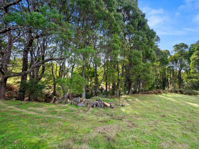 34 Elphinstones Road, Calder
