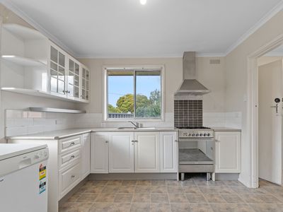 31 Dalkeith Street, Waverley