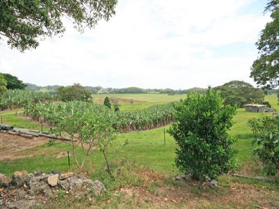 129 Warwick Park  Road, Pottsville