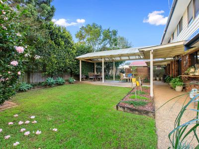 3 Pinedale Court, Rochedale South