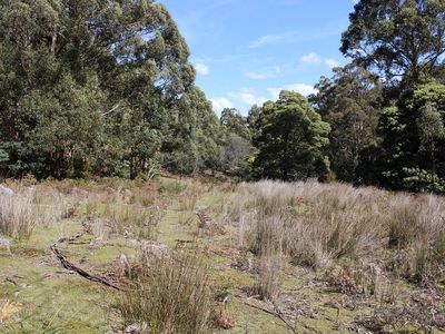 Lot 2 & 2, Off Rocky Creek Road, Crabtree