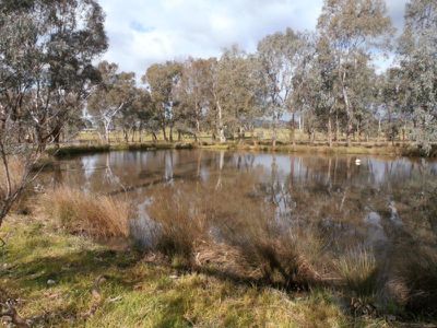 555 School House Lane, Tallarook