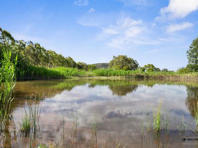 77 Taaffe Road, Wangaratta South
