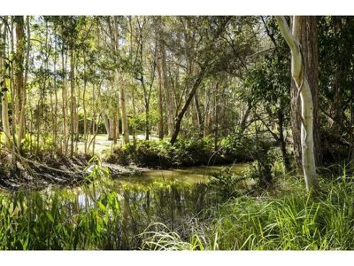 7 Finney Court, Tewantin