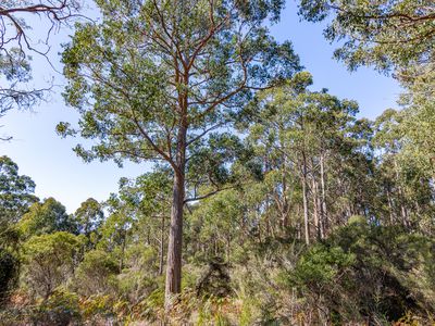 287 Esperance Coast Road, Brooks Bay