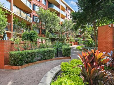 12503 / 177 Mitchell Road, Erskineville
