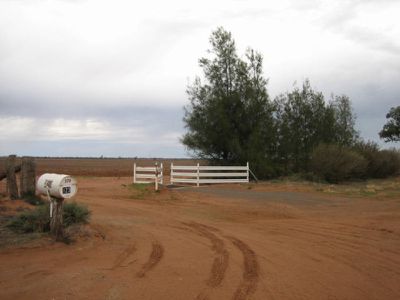 Pine View