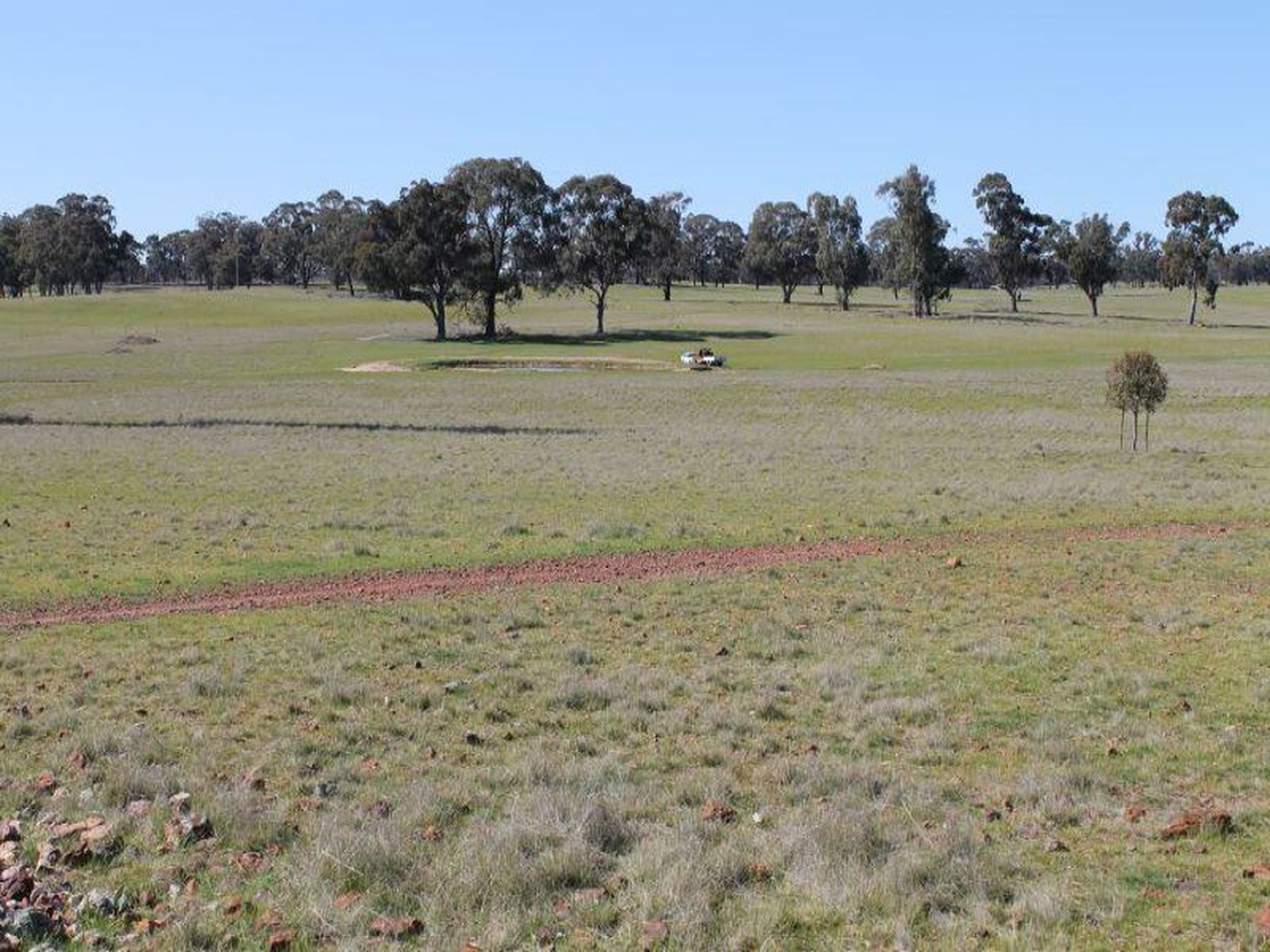 1145 Toolleen-Axedale Road, Toolleen