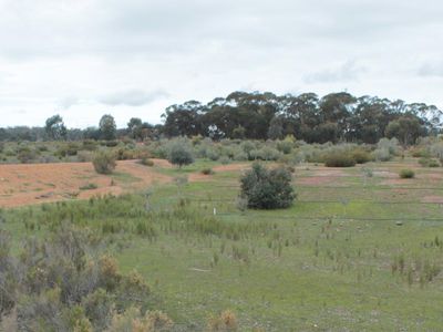 Lot 1  Tait Hamilton Road, Gobarup