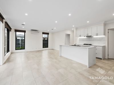 15 Cisticola Street, Narre Warren