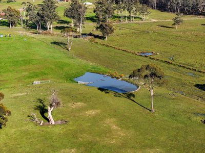 426 Larcombes Road, Reedy Marsh