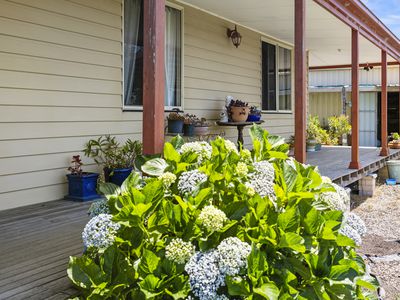 107 Lilyvale Place, Narooma