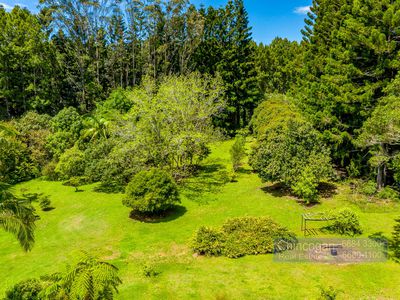 389 Burringbar Road, Upper Burringbar