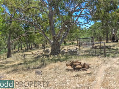 655 Spring Flat Road, Heathcote