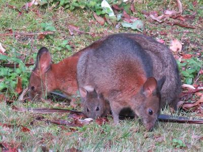 142 Wanganui Road, Wanganui