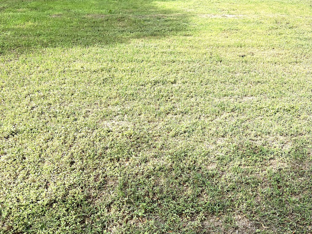 7A Noonan Street, Benalla