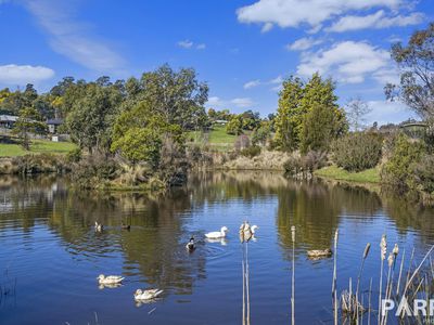 9 Longvista Road, Blackstone Heights