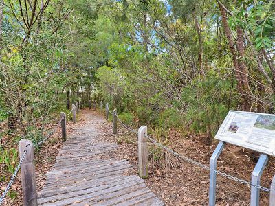 88 / 8 Starling Street, Buderim