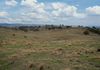 1257 Bundalah Road, Euchareena