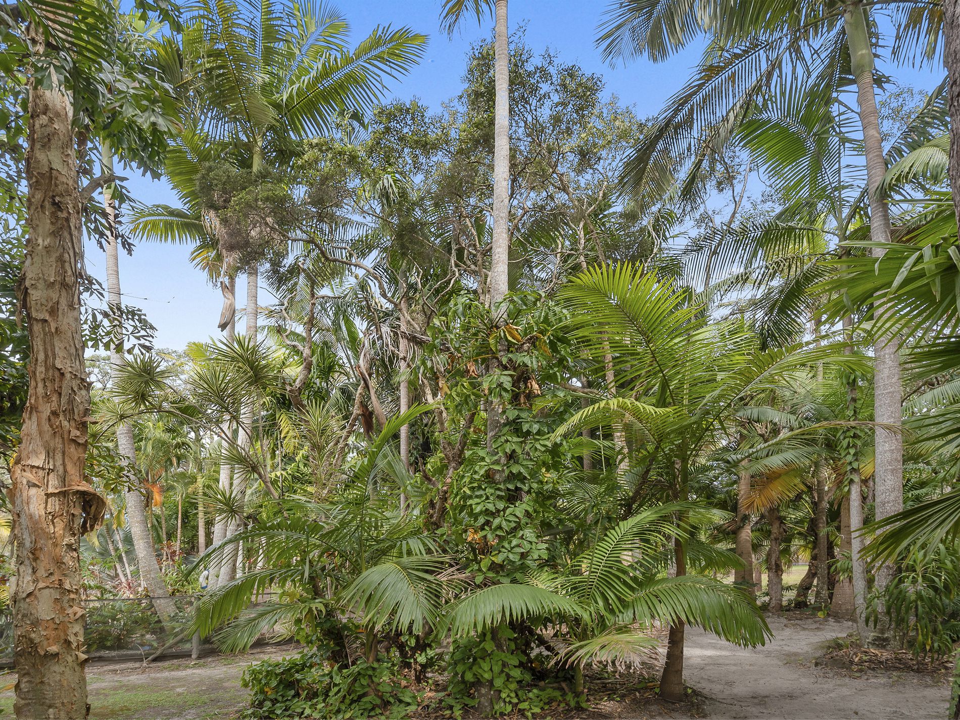3 Whipbird Place, Doonan