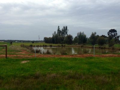 Lot B Race Course Road, Deniliquin
