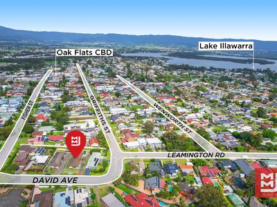 19 David Avenue, Oak Flats