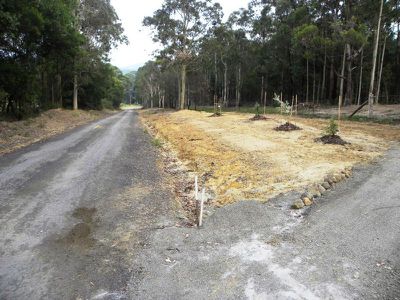311 Wandean Road, Wandandian