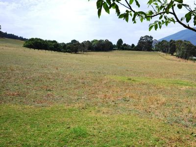 6358 Kiewa Valley Highway , Coral Bank