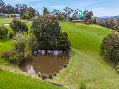 249 Missing Link Road, Wattle Grove