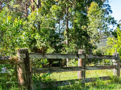 520 Monkey Mountain Road, Morton