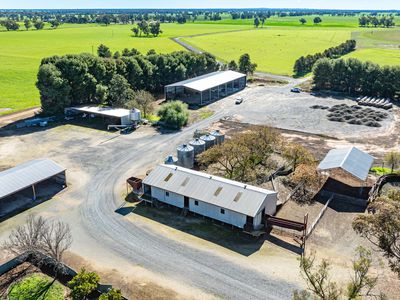 'Pastoria Park' 205 Balldale Road, Hopefield