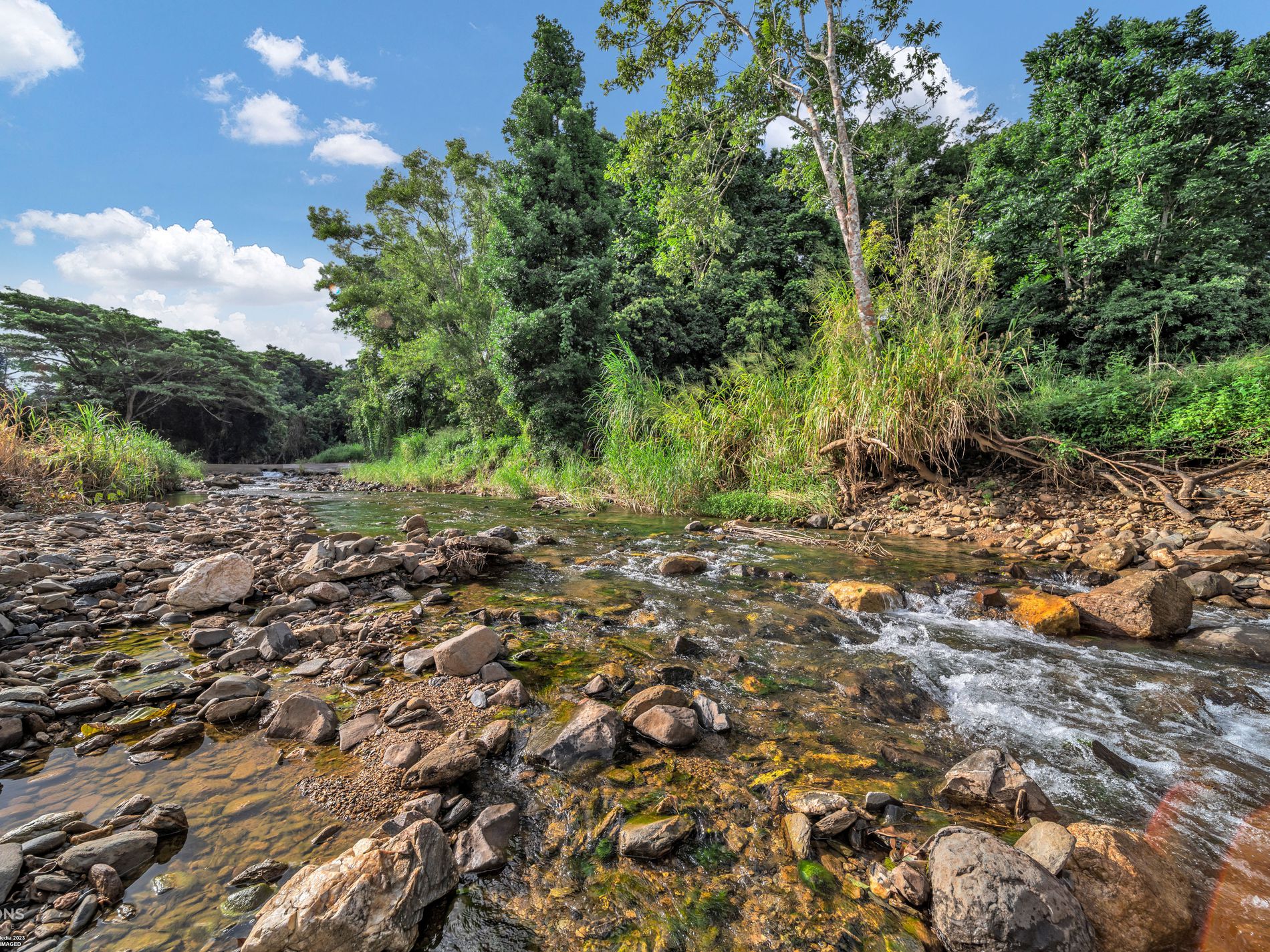 384 Little Mulgrave Road, Little Mulgrave Champions In Real Estate