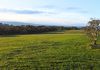 Back Valley