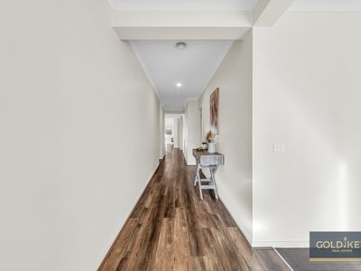 14 Walbrook Drive, Clyde North