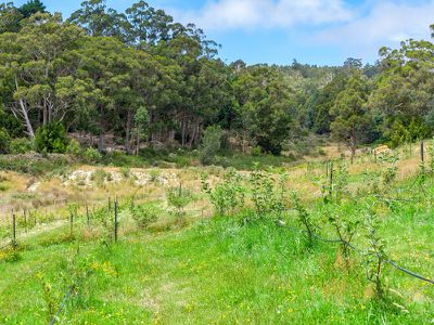 10 Schultz Street, Cradoc