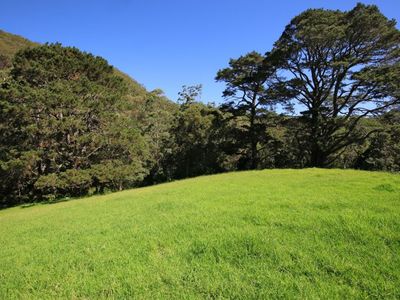 24 Treefern Road, Kangaroo Valley