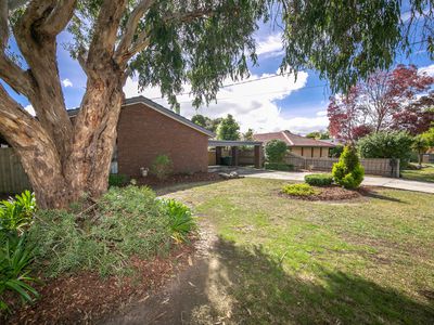 18 Gardiner Street, Gisborne