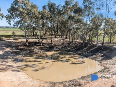 1 Keoghs Lane, Murphys Creek