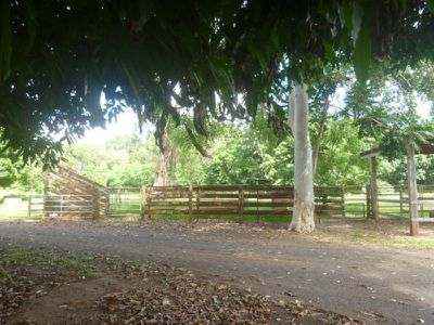 91 Railway Avenue, Cooktown