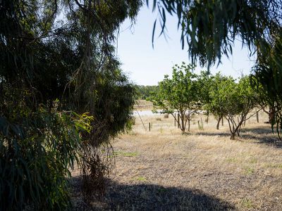 40 Dawe Rd, Tallarook