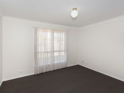 146 Coachwood Drive, Medowie