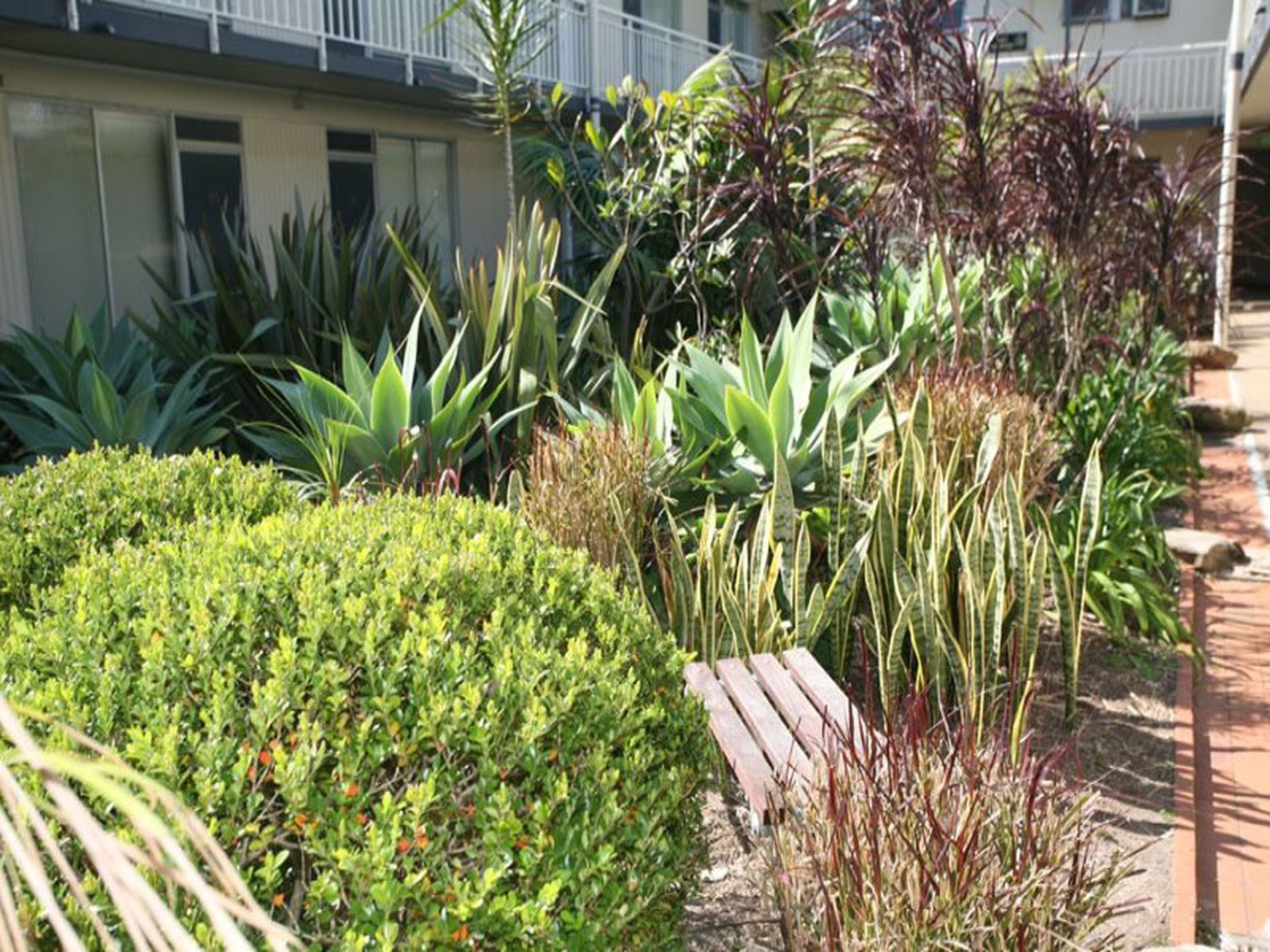 49 / 19 Forbes Street, Woolloomooloo