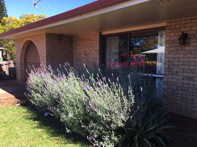 14 Regent Street, Darling Heights