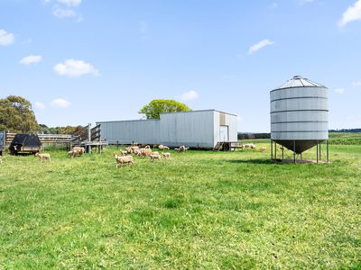 1444 Hoskinstown Road, Hoskinstown