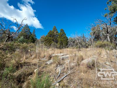 841 Gunyah Road, Tenterfield