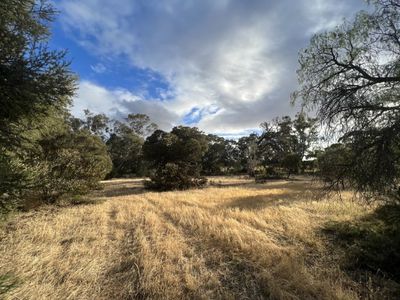 2503 Angas Valley Road, Angas Valley